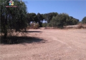 Terreno no urbanizable en venta en la España, San Roque, ref: TR115451 foto