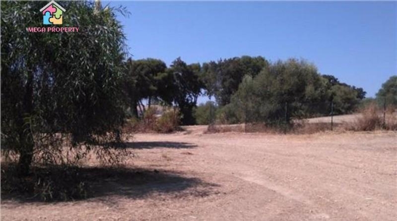 Cádiz - San Roque - 2008m2