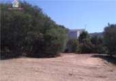 Terreno no urbanizable en venta en la España, San Roque, ref: TR115451 foto