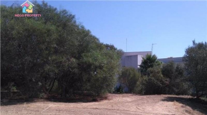 Cádiz - San Roque - 2008m2