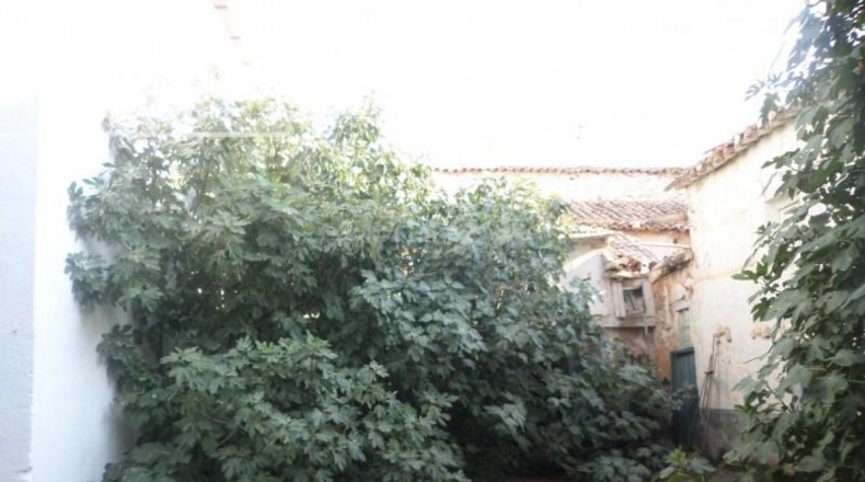 Ciudad Real - Tomelloso - 495m2