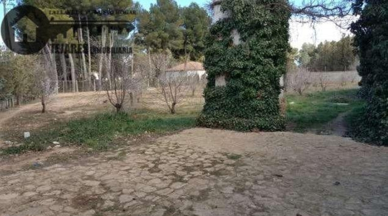 Albacete - Albacete - 7800m2