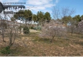 Casa de camp amb terreny en venda a la España, Albacete, ref.: TR136141 foto