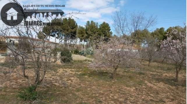 Albacete - Albacete - 7800m2