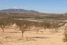 Montealegre del Castillo 480000&nbsp;м²