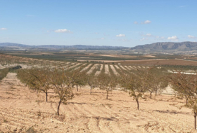Montealegre del Castillo 480000&nbsp;м²