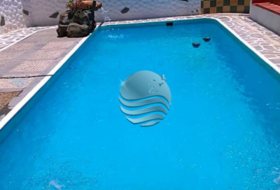 Foto 5