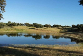 Torrejón el Rubio 320000&nbsp;m²
