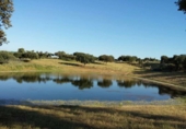 Non-developable land for sale on España, Torrejón el Rubio, ref: TR327532 photo