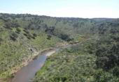 Non-developable land for sale on España, Torrejón el Rubio, ref: TR327532 photo