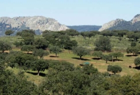 Torrejón el Rubio 320000&nbsp;m²