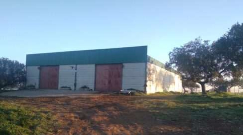 Мадрид - Torrejón de Ardoz - 320000m2