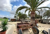 Casa de camp amb terreny en venda a la España, Jerez de la Frontera, ref.: TR244151 foto