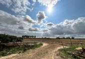 Casa de camp amb terreny en venda a la España, Jerez de la Frontera, ref.: TR244151 foto