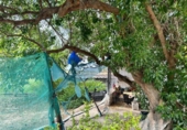 Casa de camp amb terreny en venda a la España, Jerez de la Frontera, ref.: TR244151 foto