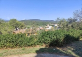 Городская земля под застройку на продажу у города Palamós Фото