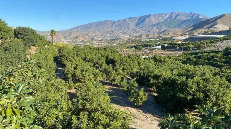 Granada - Motril - 31705m2