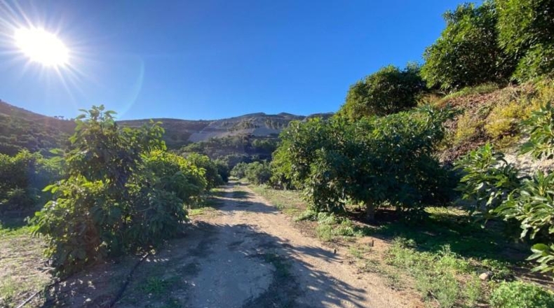 Granada - Motril - 31705m2