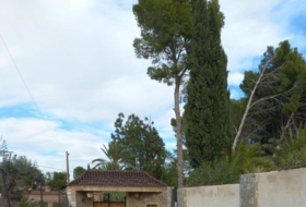 Foto 8