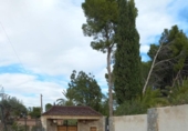 Country house with land for sale on España, Monóvar, ref: TR363726 photo