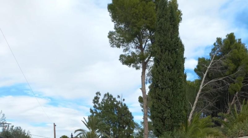 Alicante - Monóvar - 101m2