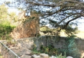 Non-developable land for sale on España, Artà, ref: TR335578 photo