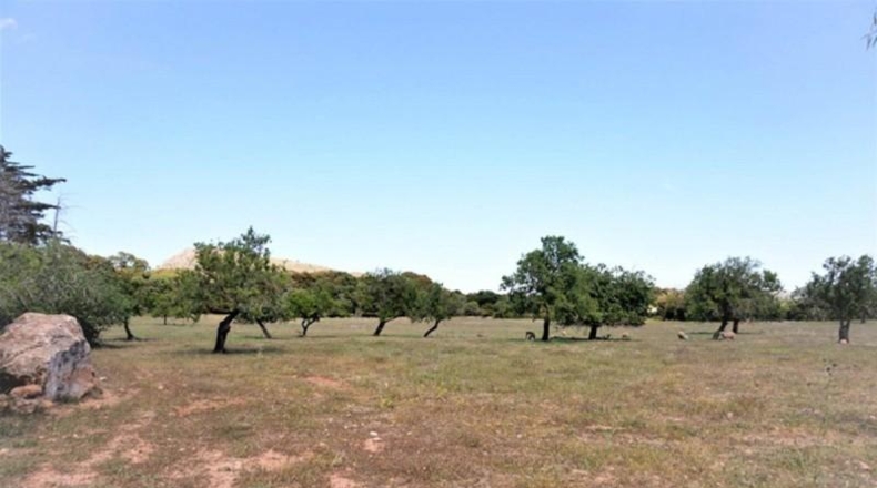 Islas Baleares - Artà - 62299m2