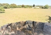 Non-developable land for sale on España, Artà, ref: TR335578 photo