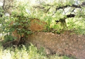 Non-developable land for sale on España, Artà, ref: TR335578 photo