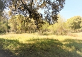 Non-developable land for sale on España, Artà, ref: TR335578 photo