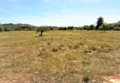 Non-developable land for sale on España, Artà, ref: TR335578 photo