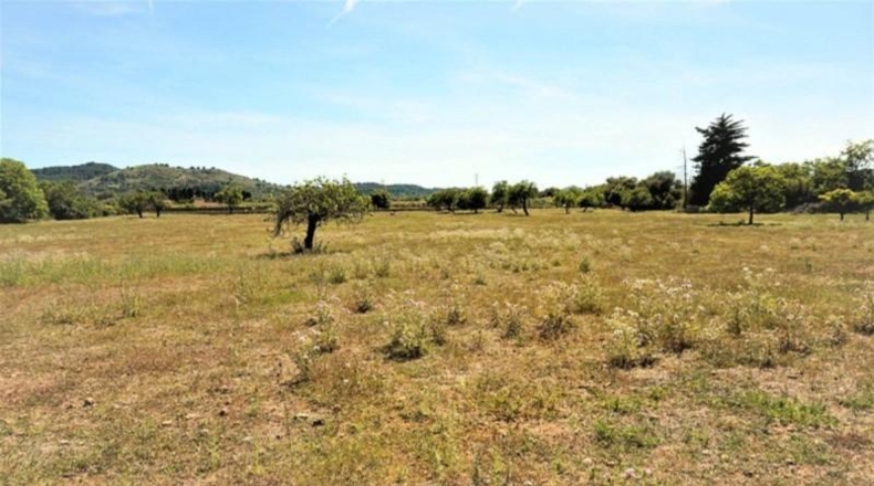 Islas Baleares - Artà - 62299m2