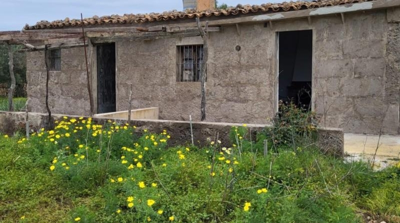 Islas Baleares - Lluchmayor - 32000m2