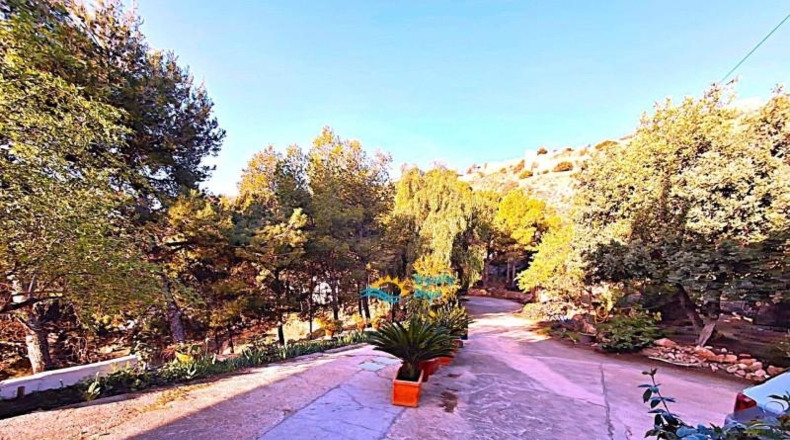 Almería - Felix - 12000m2