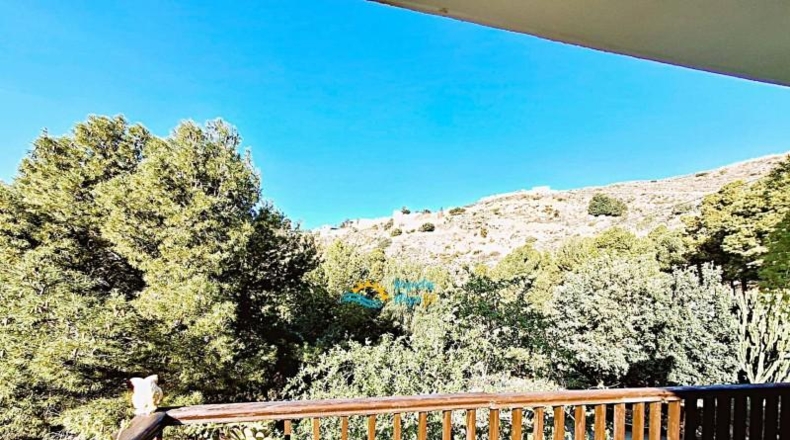 Almería - Felix - 12000m2