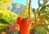 Xalet independent amb terreny en venda a la España, Felix, ref.: TR286143 foto