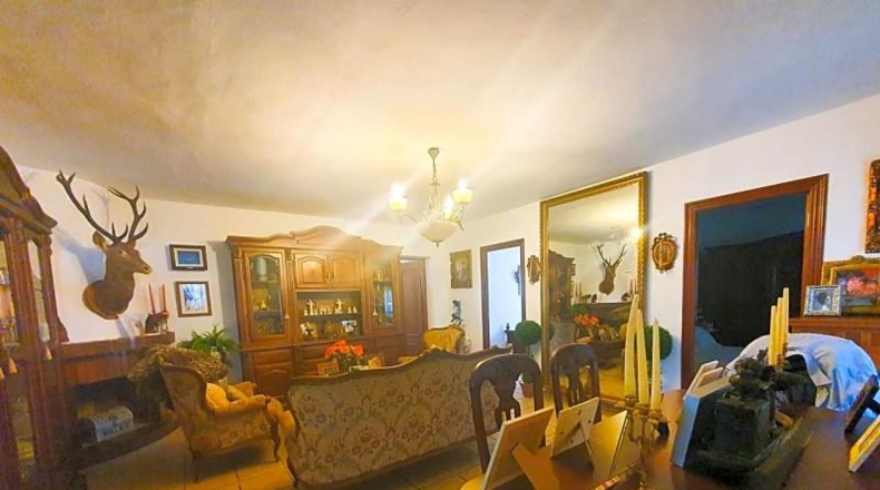 Cadiz - Castellar Nuevo de la Frontera - 25680m2