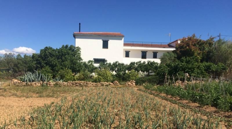 Tarragona - el Vendrell - 39000m2