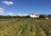 Отдельно стоящий дом с участком на продажу в городе el Vendrell Фото