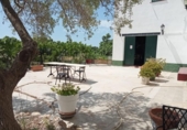 Отдельно стоящий дом с участком на продажу в городе el Vendrell Фото
