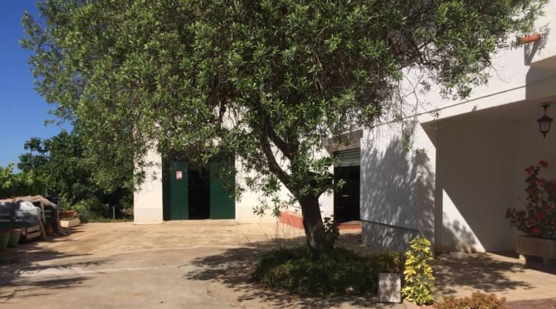 Tarragona - el Vendrell - 39000m2