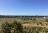 Отдельно стоящий дом с участком на продажу в городе el Vendrell Фото