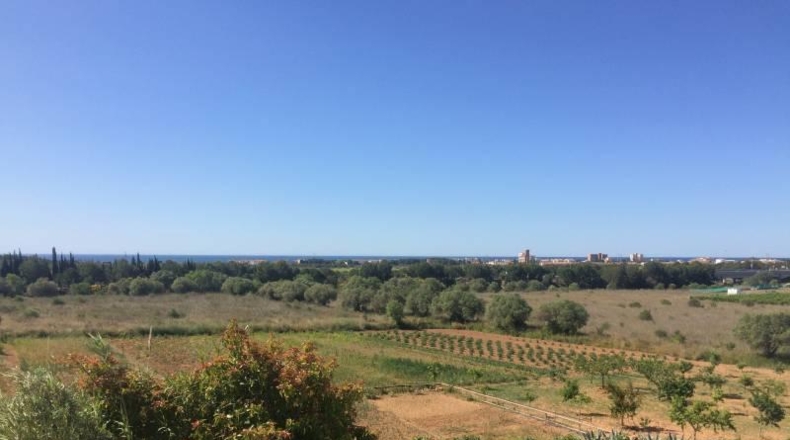 Tarragona - el Vendrell - 39000m2