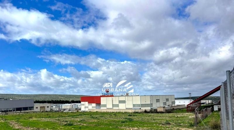 Córdoba - Lucena - 8146m2