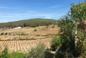 l'Arboçar de Baix 240000&nbsp;m² 