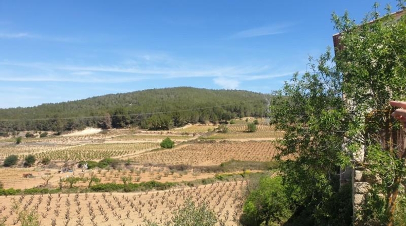 Barcelona - l'Arboçar de Baix - 240000m2