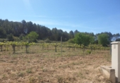 Detached villa with land for sale on España, l'Arboçar de Baix, ref: TR218250 photo