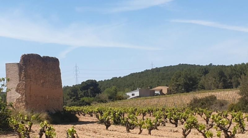 Barcelona - l'Arboçar de Baix - 240000m2