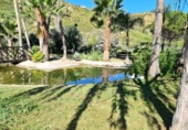 Chalet independiente con terreno en venta en la España, Manilva, ref: TR379317 foto