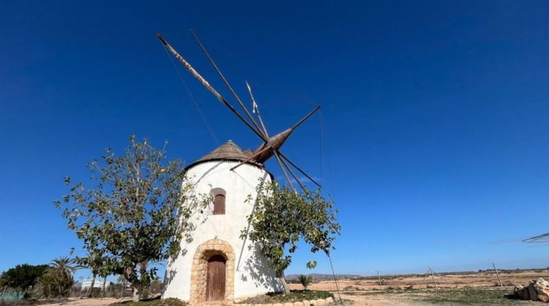 Múrcia - Torre-Pacheco - 5000m2